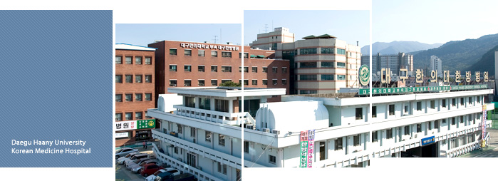 大邱韓医大学校付属 大邱韓方病院